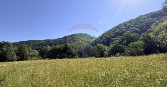 Teren Scrind-Frăsinet