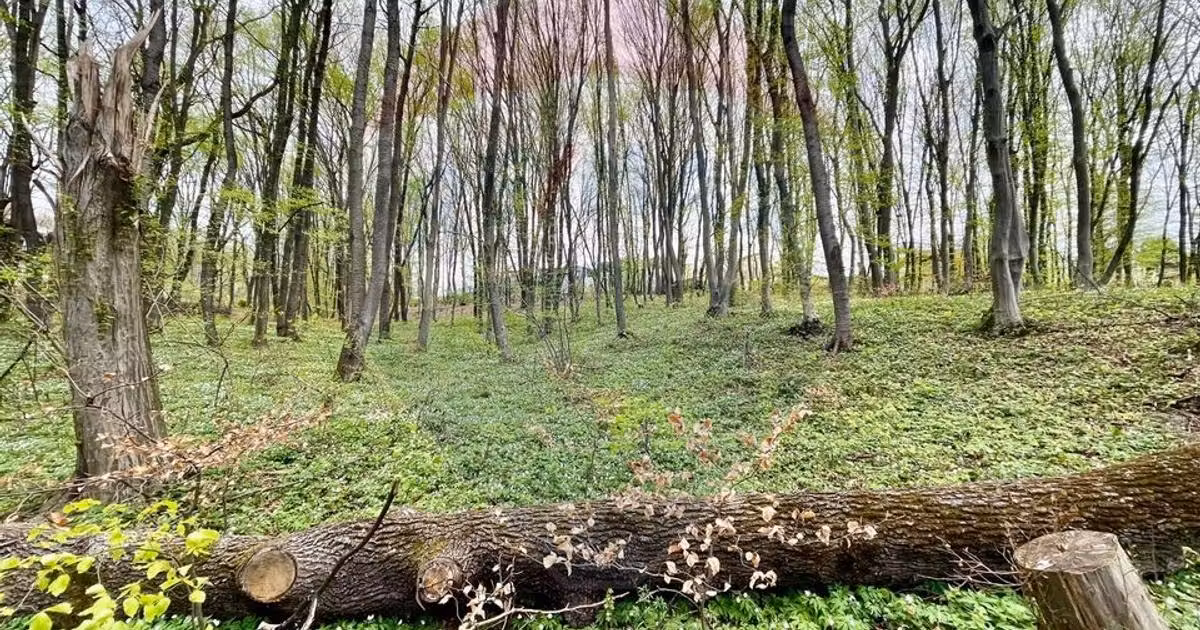 Teren agricol intravilan de vânzare de 10000 mp, în zona Făget, Cluj-Napoca