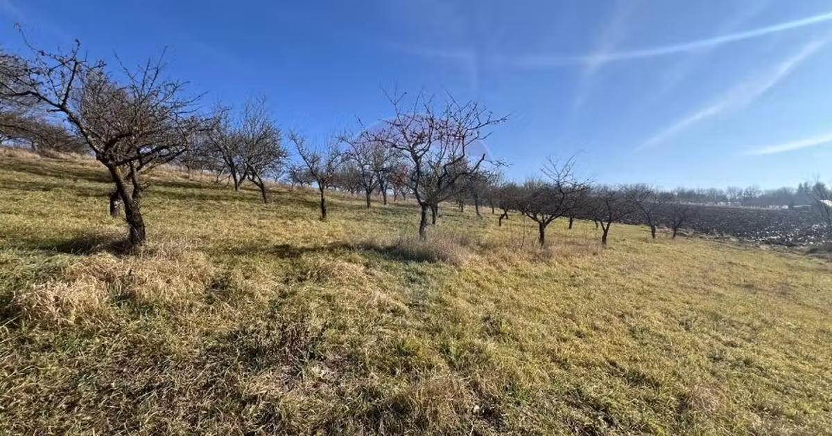 Teren intravilan de vânzare de 34425 mp, în Bădeni