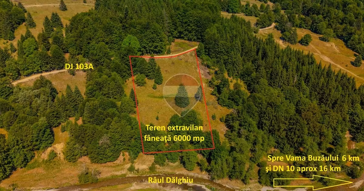 Teren agricol extravilan de vânzare de 6000 mp, în Dălghiu