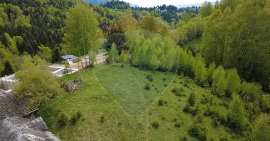 Teren Dâmbovicioara