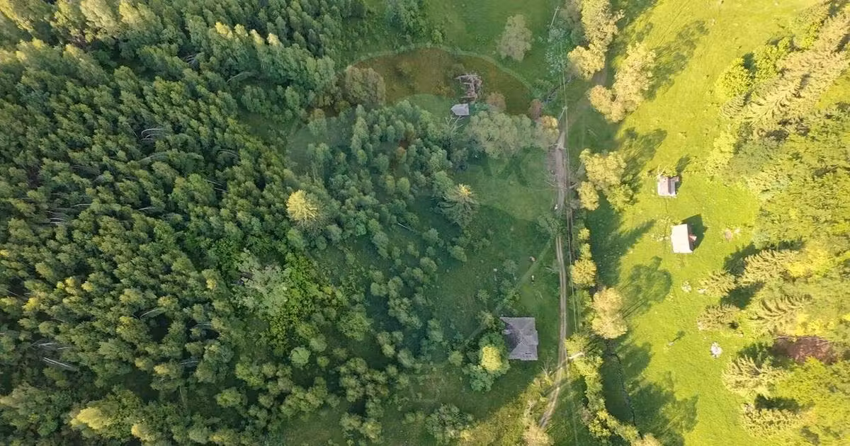 Teren agricol extravilan de vânzare de 38704 mp, în Șirnea
