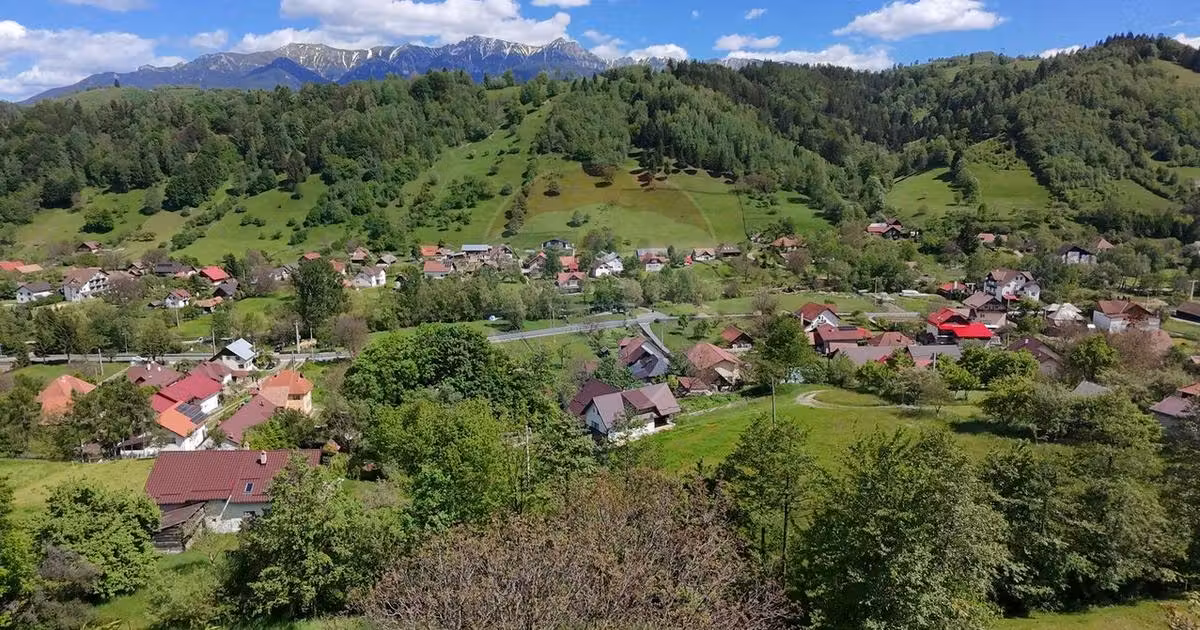 Teren Construcții intravilan de vânzare de 1431 mp, în Moieciu de Jos