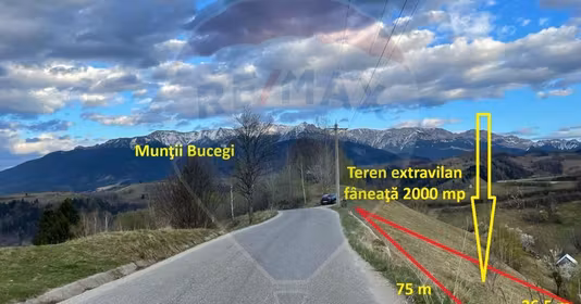 Teren Peștera