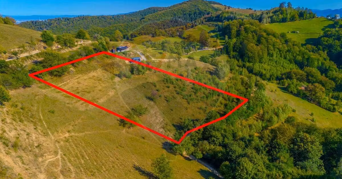 Teren agricol extravilan de vânzare de 6014 mp, în Holbav