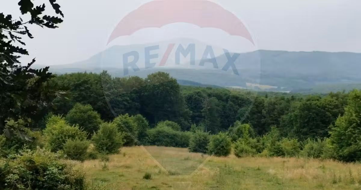 Teren Construcții intravilan de vânzare de 5400 mp, în Dumbrăvița