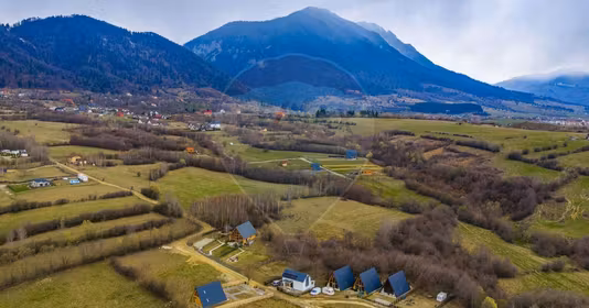 Teren Tohănița