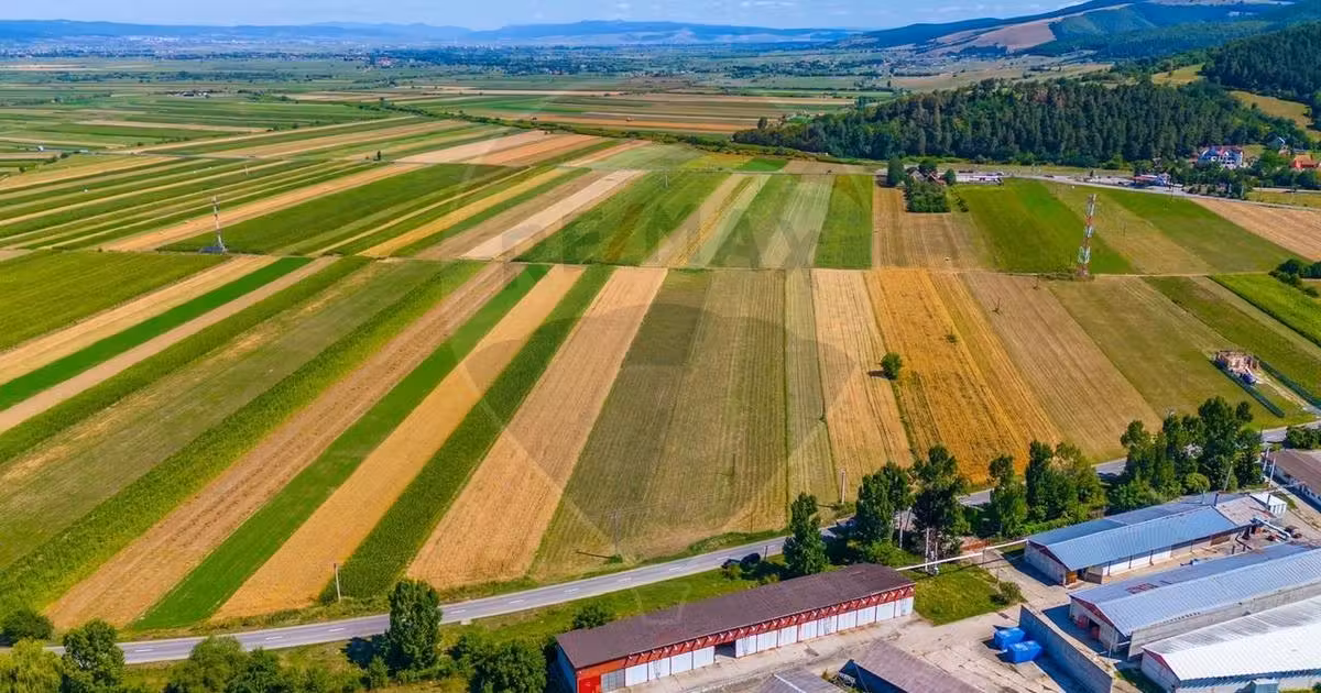 Teren agricol extravilan de vânzare de 7000 mp, în Teliu
