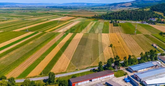 Teren Teliu