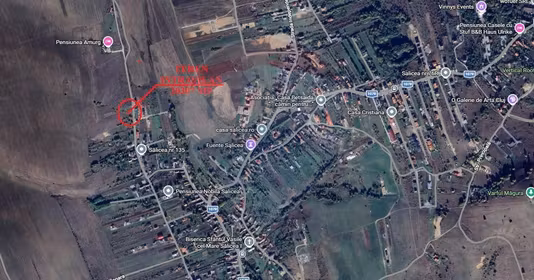 Teren Mănăștur