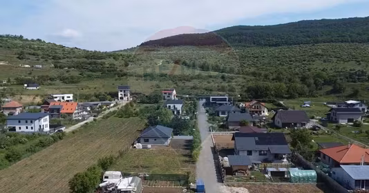 Teren Mănăștur