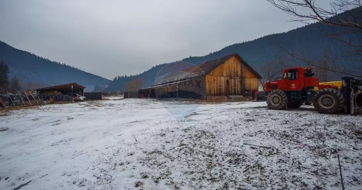 Spațiu industrial de vânzare de 450 mp, în Borca