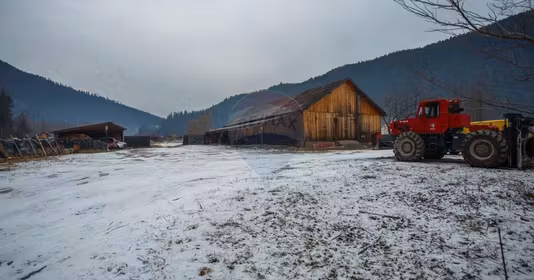 Spațiu comercial Borca