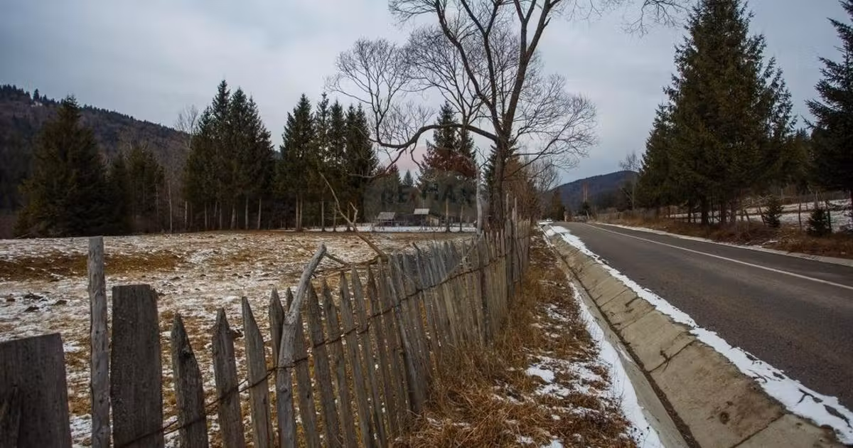 Teren intravilan de vânzare de 49000 mp, în Borca