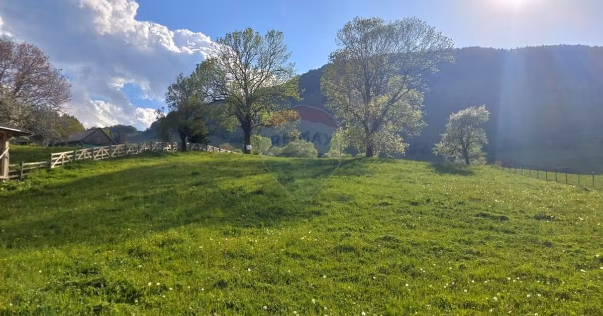 Teren Construcții intravilan de vânzare de 4245 mp, în Șirnea