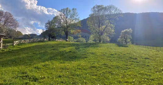 Teren Șirnea