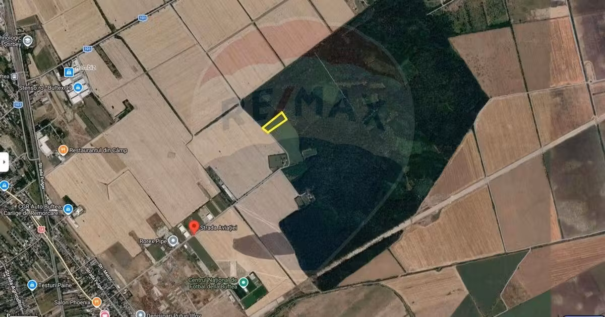Teren Construcții intravilan de vânzare de 10000 mp, în Buftea