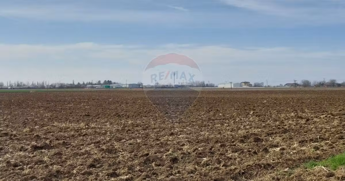 Teren agricol extravilan de vânzare de 5000 mp, în Moara Vlăsiei