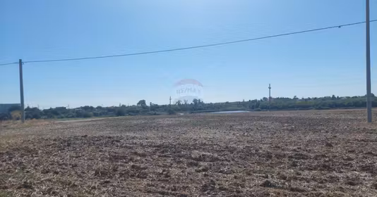 Teren Balotești