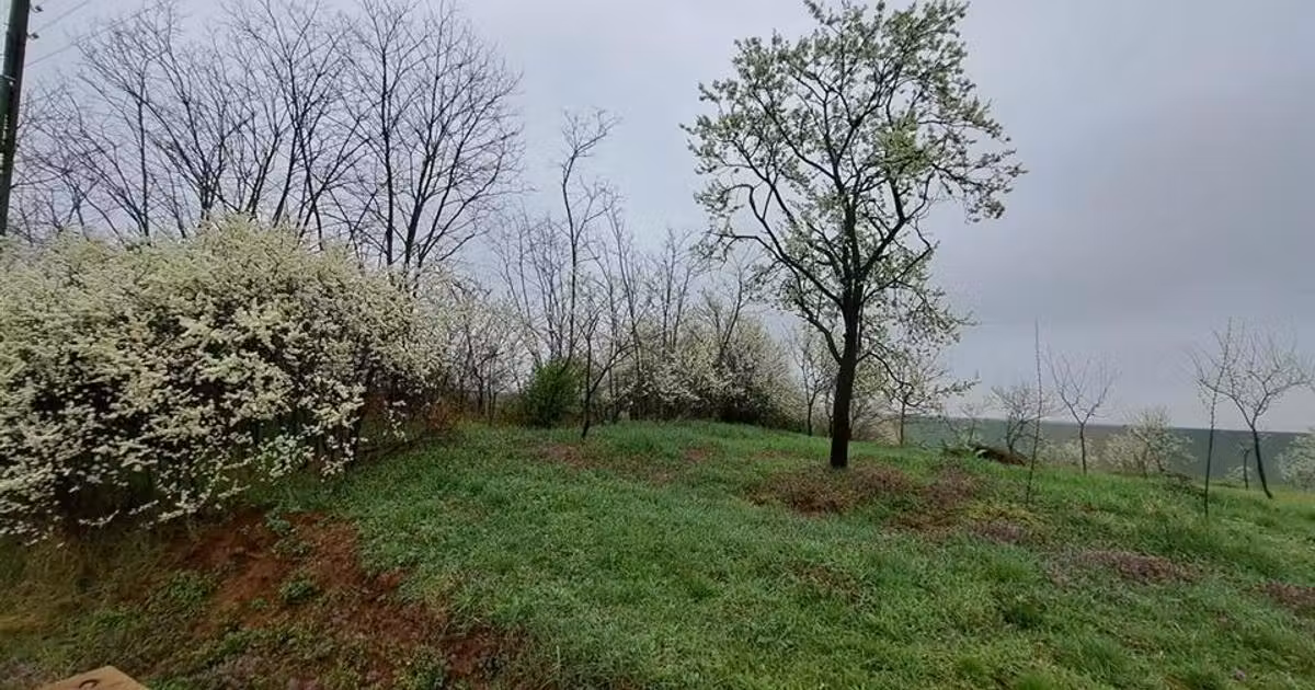 Teren intravilan de vânzare de 10900 mp, în Ghenetea