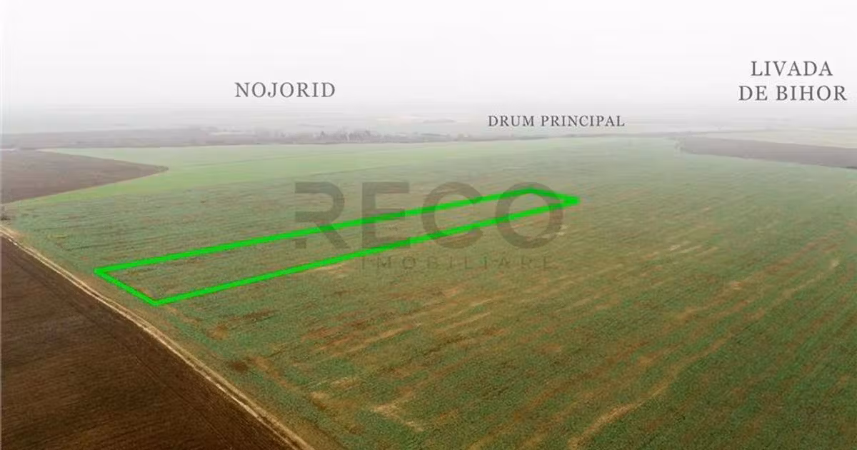 Teren intravilan de vânzare de 5800 mp, în Livada de Bihor