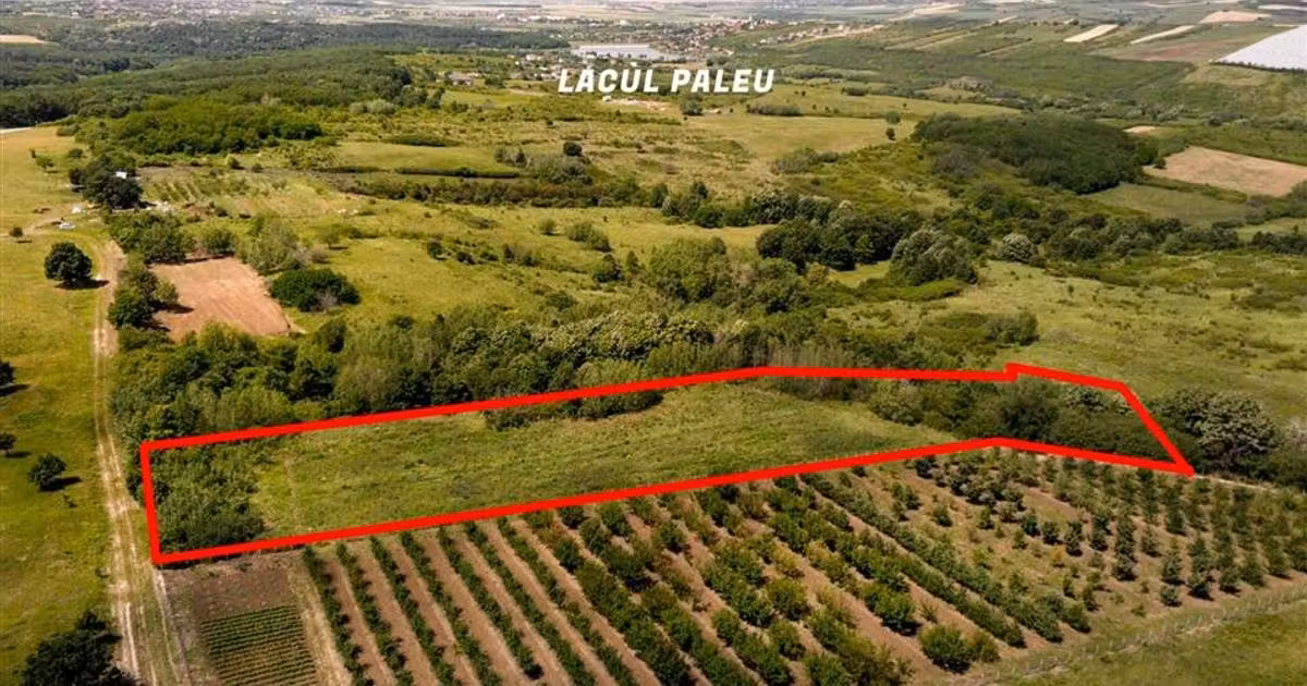 Teren intravilan de vânzare de 7101 mp, în Săldăbagiu de Munte