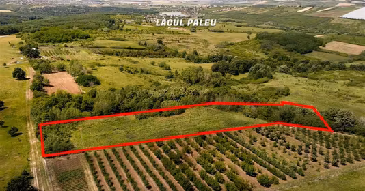 Teren Velența