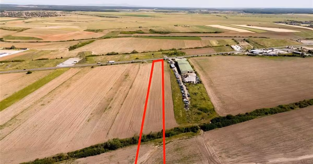Teren intravilan de vânzare de 7959 mp, în Nojorid