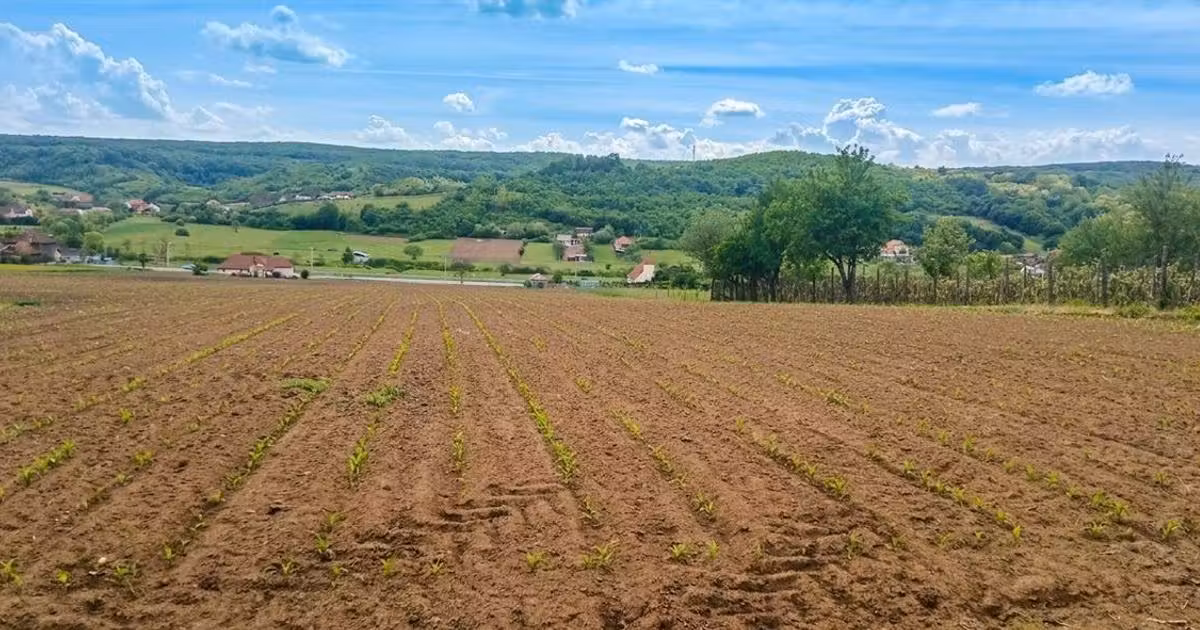 Teren intravilan de vânzare de 500 mp, în Hidișelu de Jos