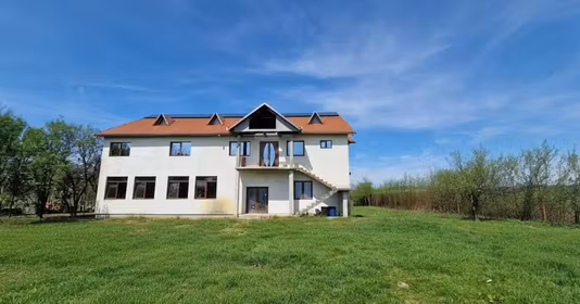 Spațiu comercial Petreasa