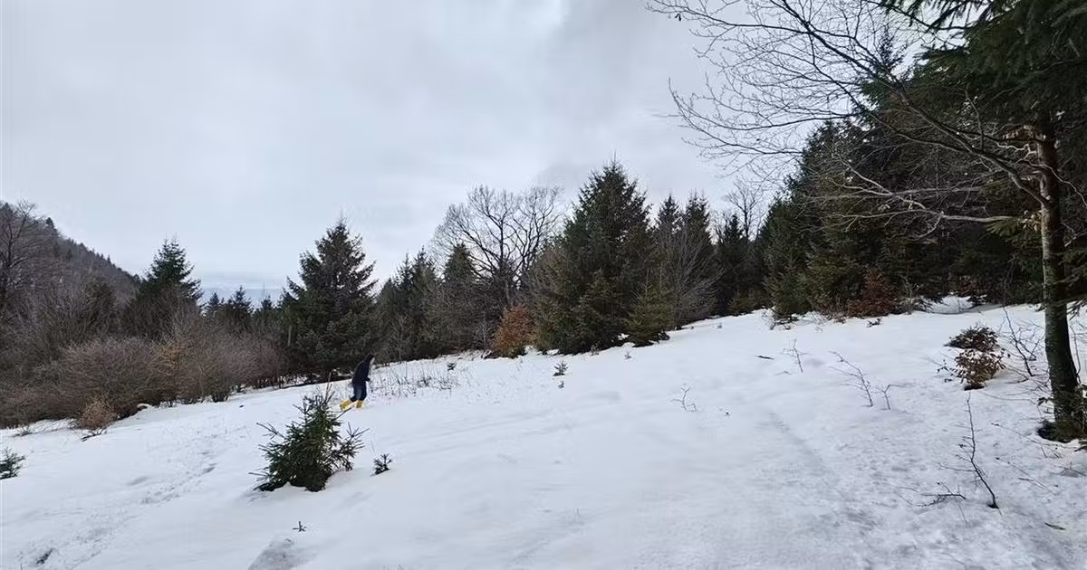 Teren extravilan de vânzare de 4900 mp, în zona 13 Decembrie, Brașov