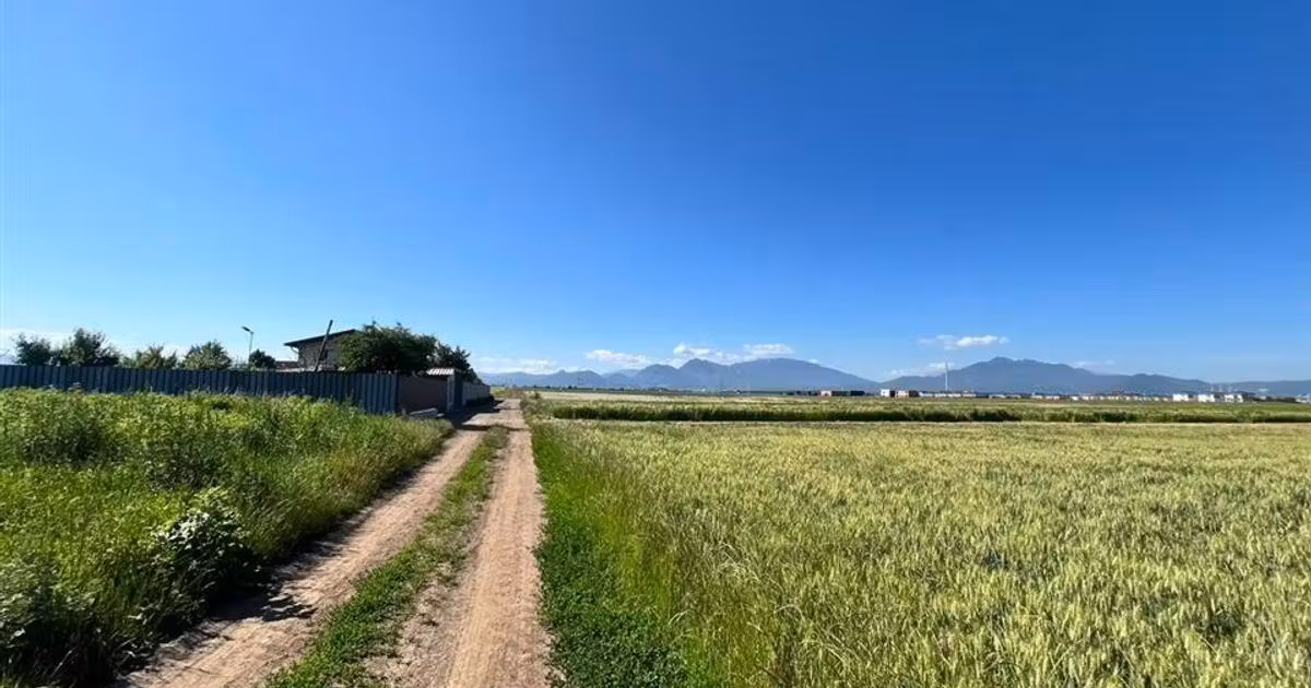 Teren Construcții intravilan de vânzare de 639 mp, în Hărman