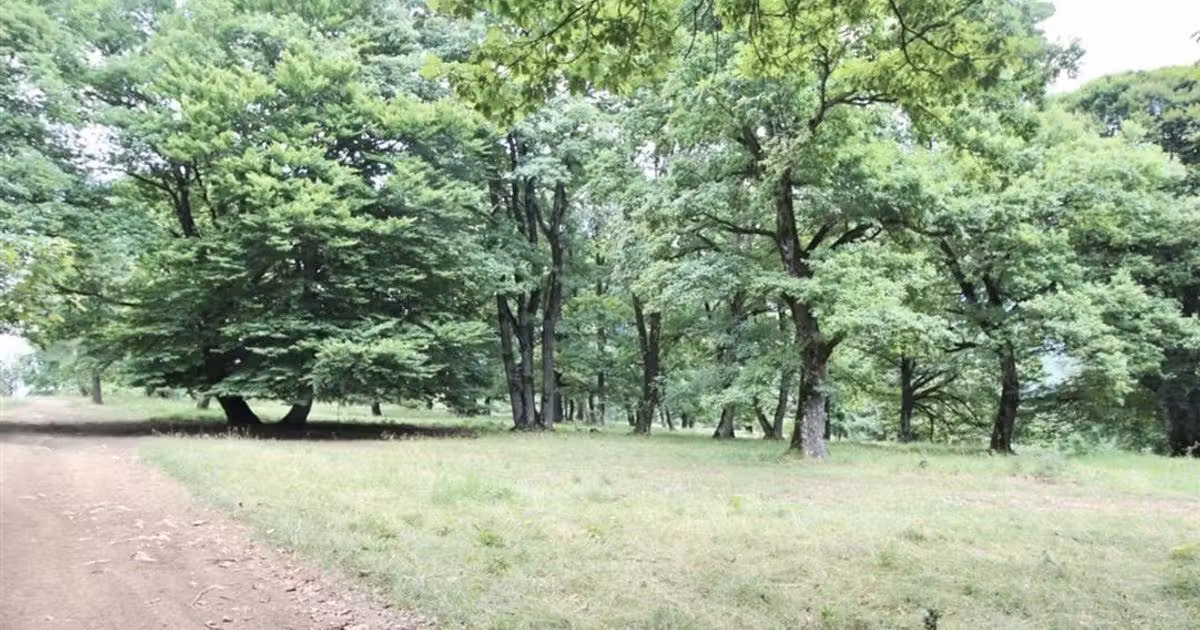 Teren Construcții intravilan de vânzare de 4713 mp, în Poiana Brașov