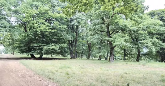 Teren Poiana Brașov