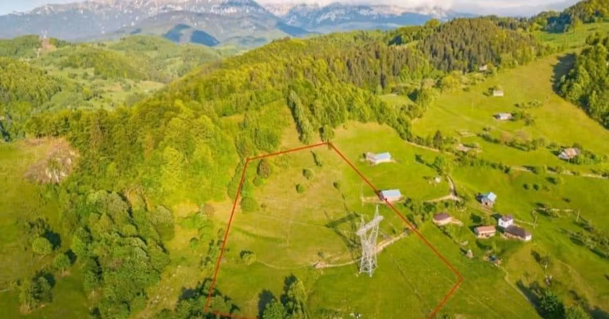 Teren Construcții intravilan de vânzare de 8800 mp, în Cheia