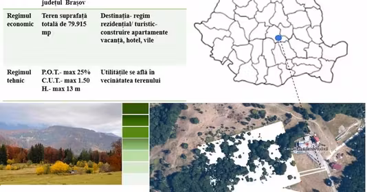 Teren Vlădeț - Trei Brazi