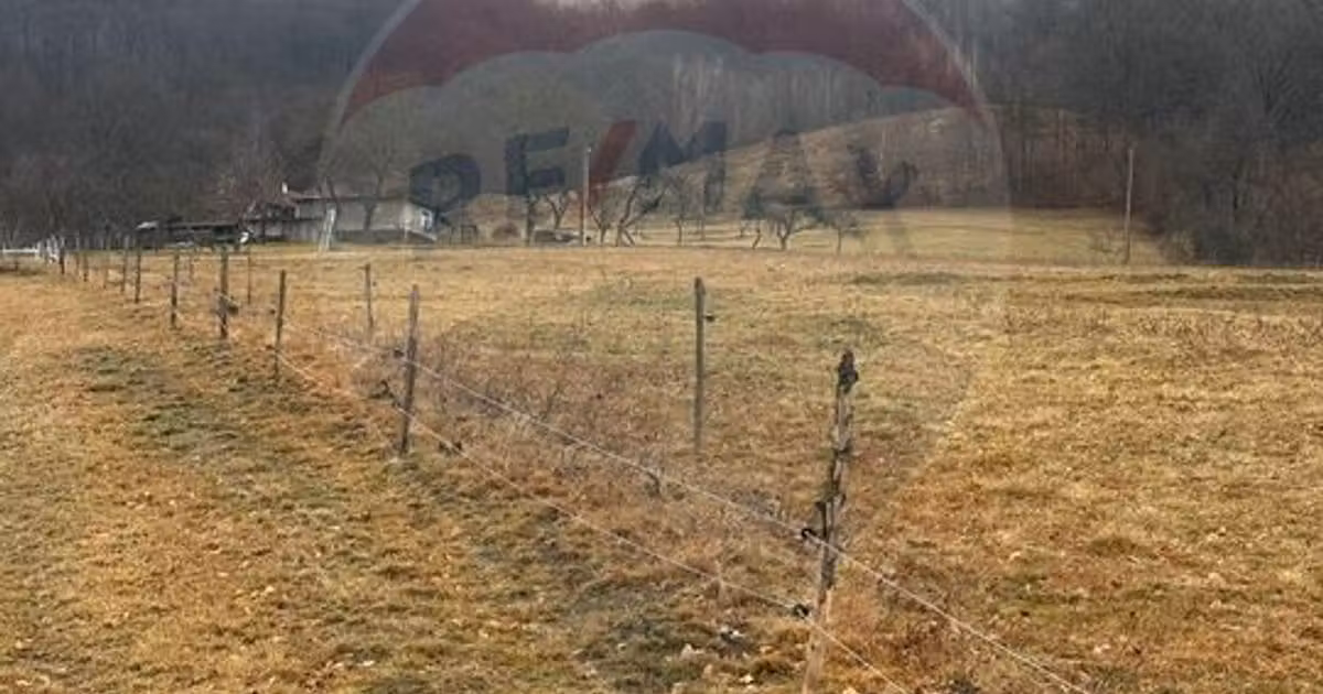 Teren Construcții intravilan de vânzare de 7135 mp, în Negreni