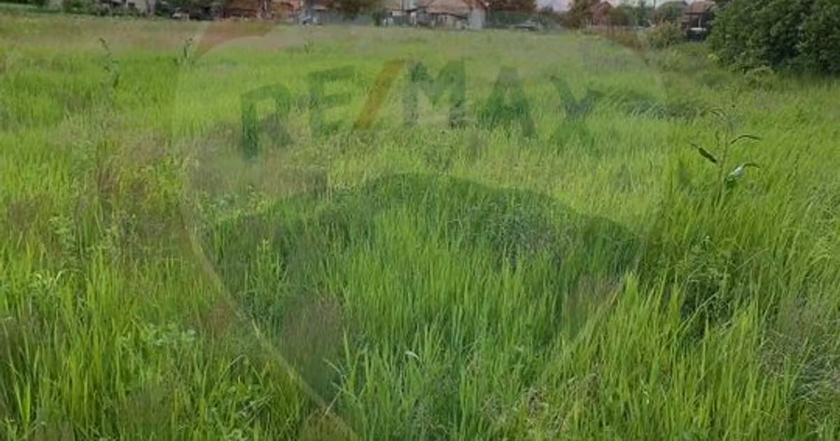 Teren Construcții intravilan de vânzare de 1325 mp, în Iclod