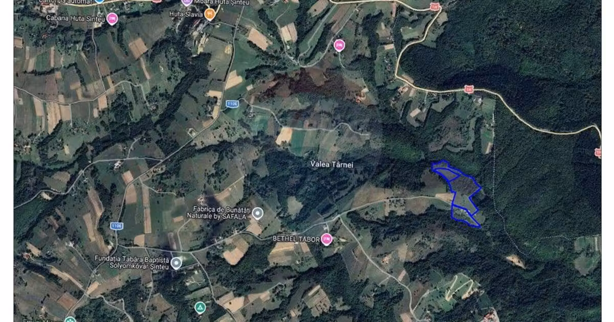 Casă individuală de vânzare cu 5 camere, mobilată în Valea Târnei
