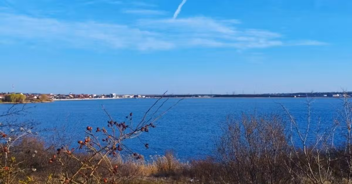 Teren intravilan de vânzare de 1169 mp, în Căldăraru