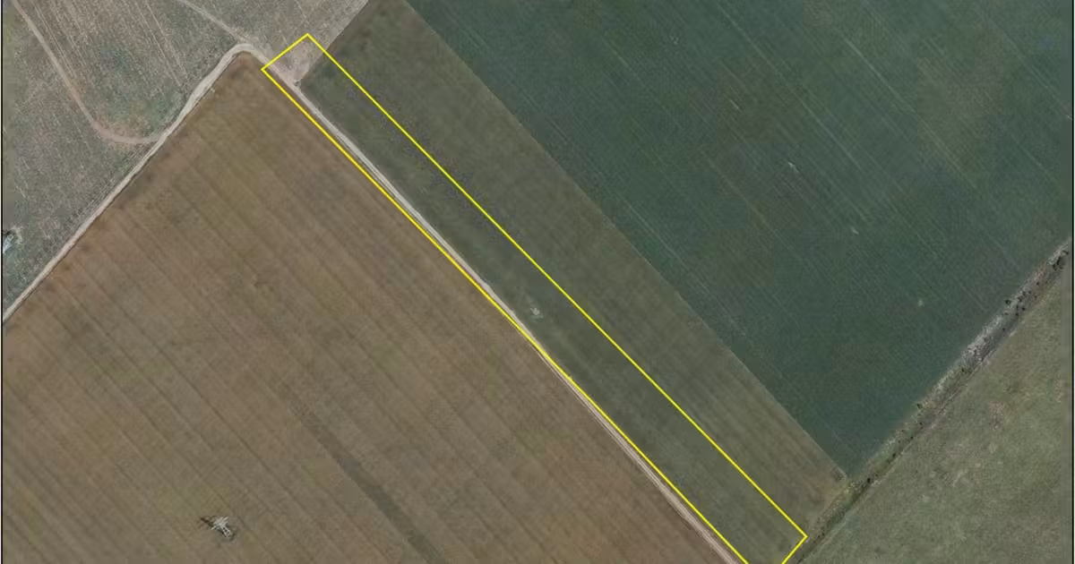 Teren de vânzare de 25000 mp, în Pantelimon