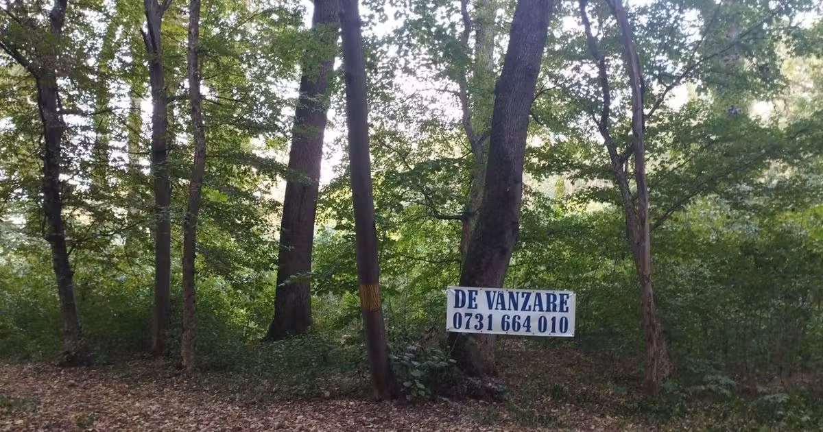 Teren de vânzare de 4000 mp, în Snagov