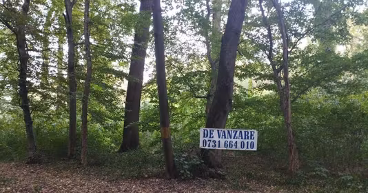 Teren Snagov