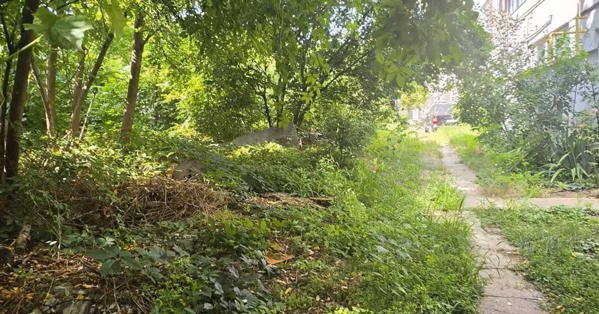 Teren Construcții intravilan de vânzare de 250 mp, în zona Băneasa, Sector 1