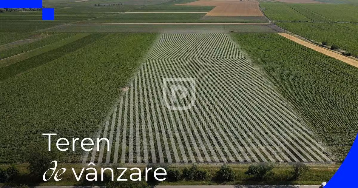 Teren agricol extravilan de vânzare de 10000 mp, în Orășeni-Deal