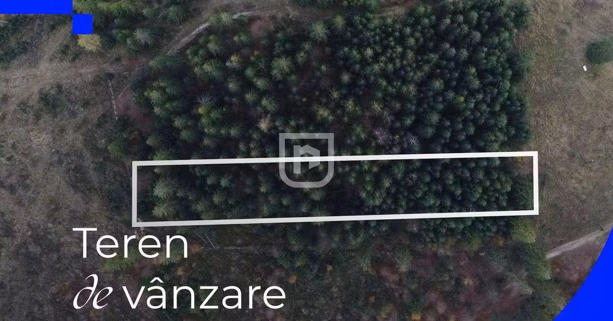Teren extravilan de vânzare de 3139 mp, în Frasin
