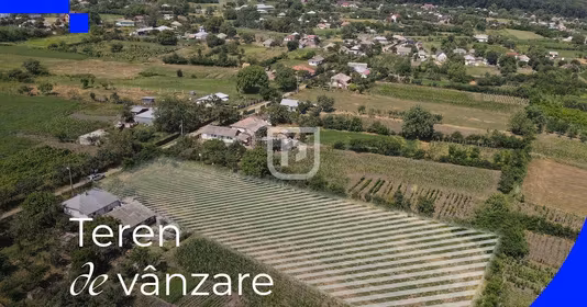 Teren Ionășeni (Trușești)