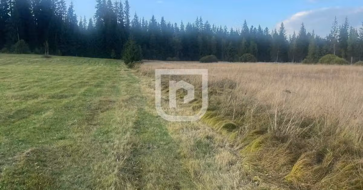 Teren Construcții intravilan de vânzare de 5740 mp, în Poiana Stampei