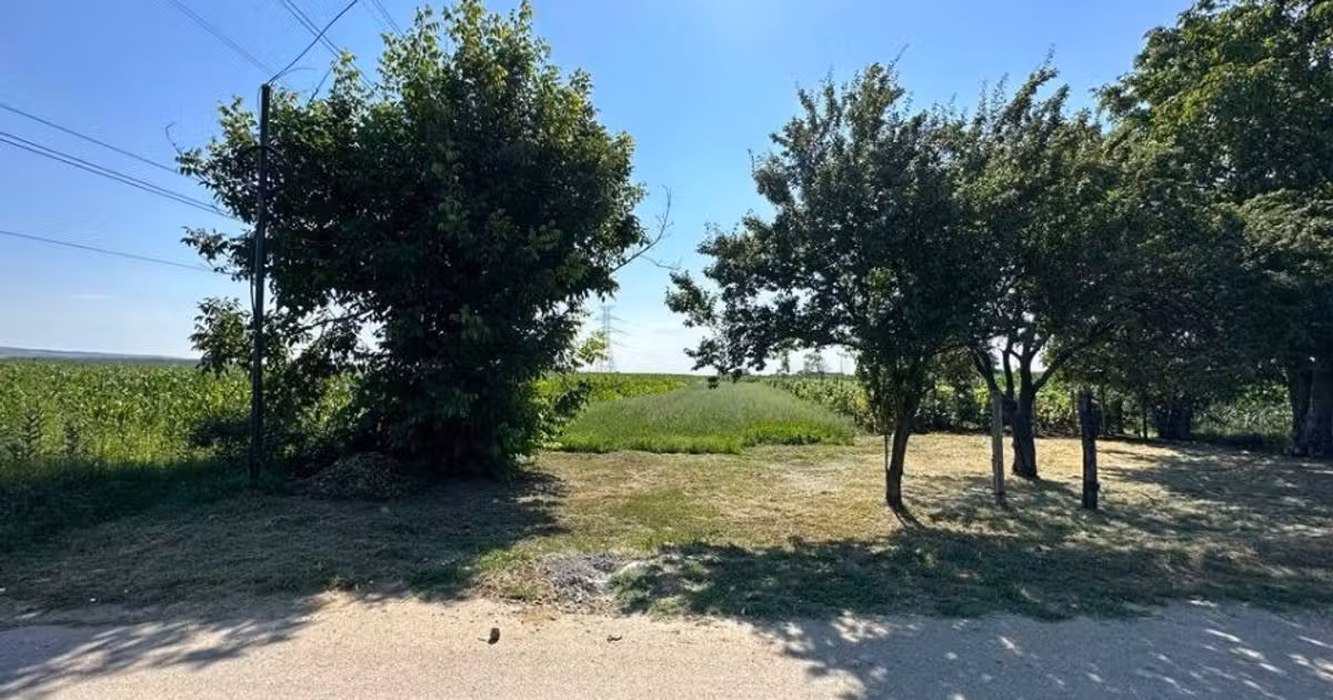Teren Construcții intravilan de vânzare de 4394 mp, în Valea Călugărească