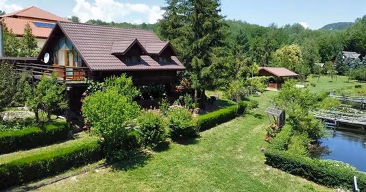 Spațiu comercial Dăești